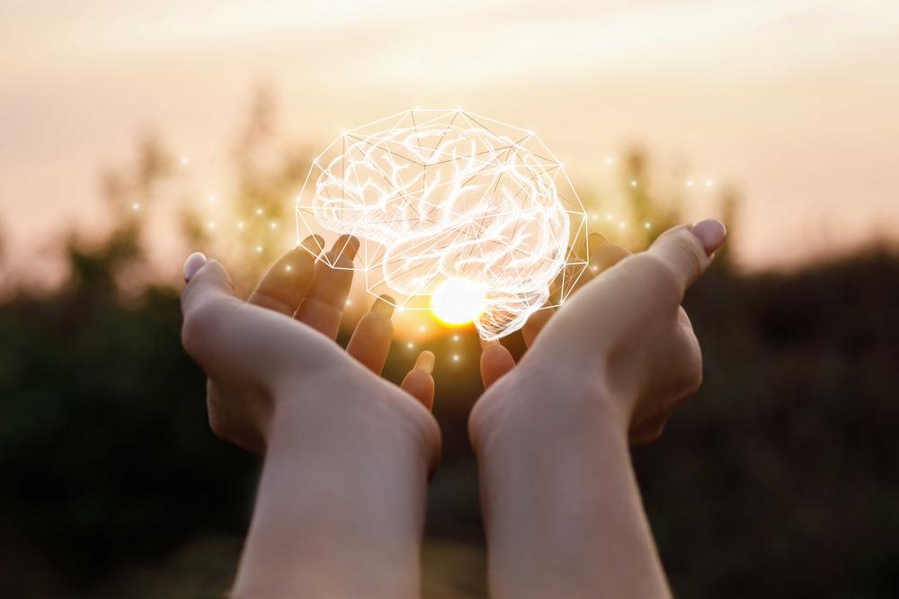 cerveau holographique